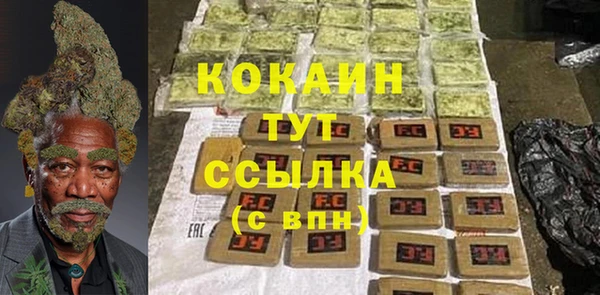 твердый Алзамай