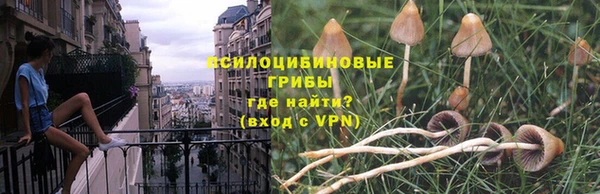 ГАЛЛЮЦИНОГЕННЫЕ ГРИБЫ Абдулино