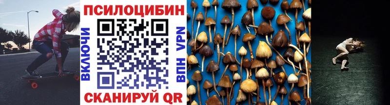 даркнет официальный сайт  Обоянь  Псилоцибиновые грибы Psilocybe 